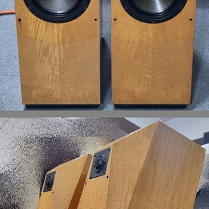 아발론 이클립스(Avalon Eclipse) 스피커