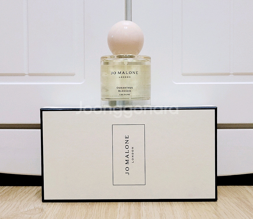 조말론 오스만투스 블로썸 코롱 50ml 미사용--0