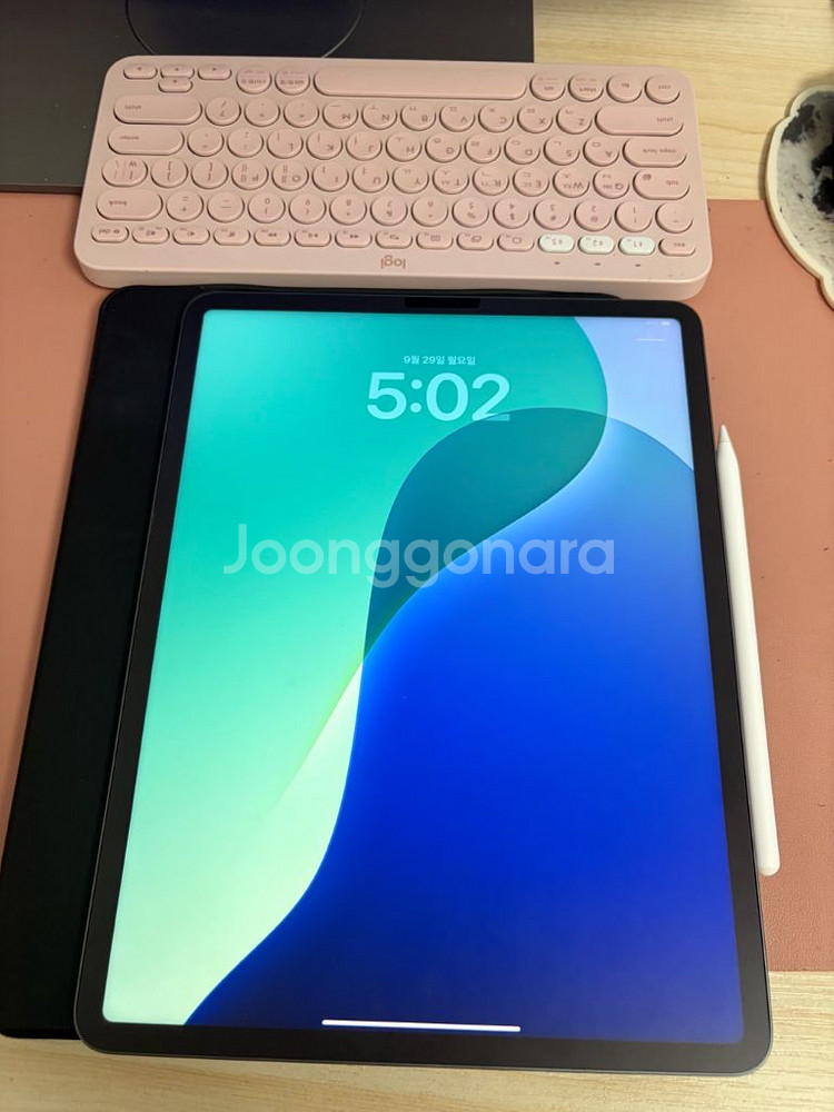 아이패드 프로 5세대 12.9 m1 256기가 스그 와--0