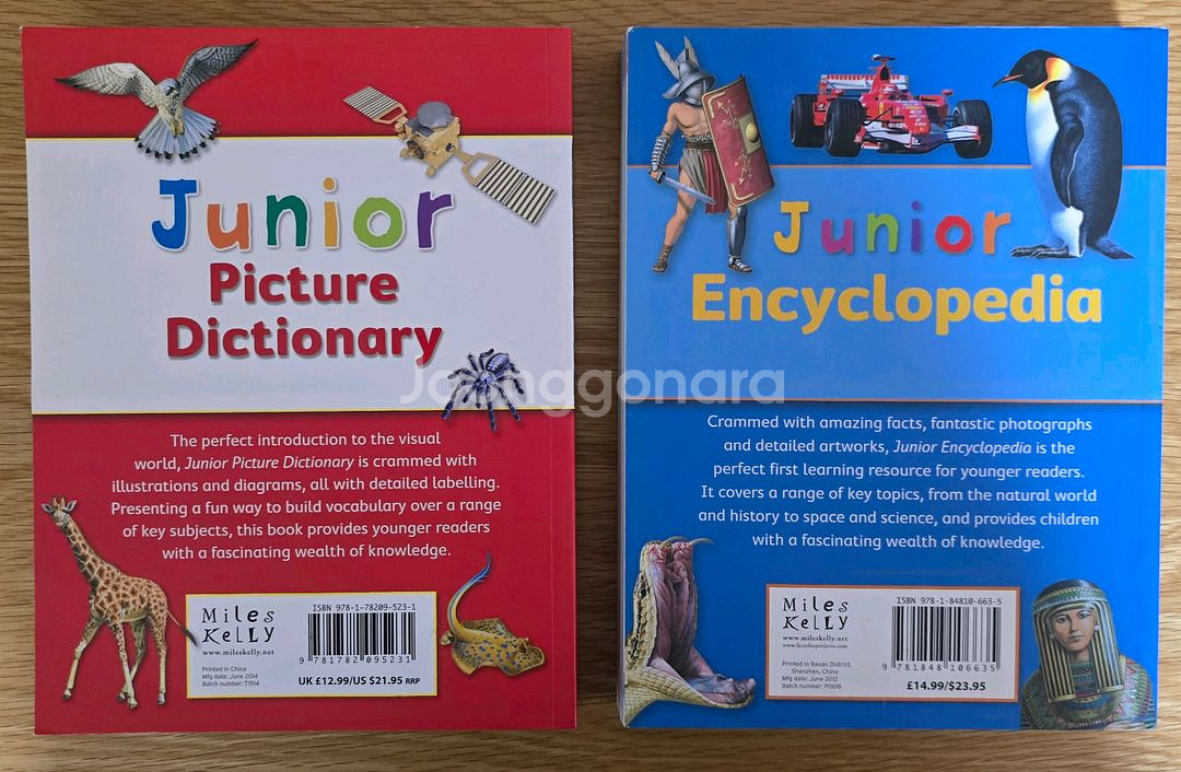 Junior Picture Dictionary--1