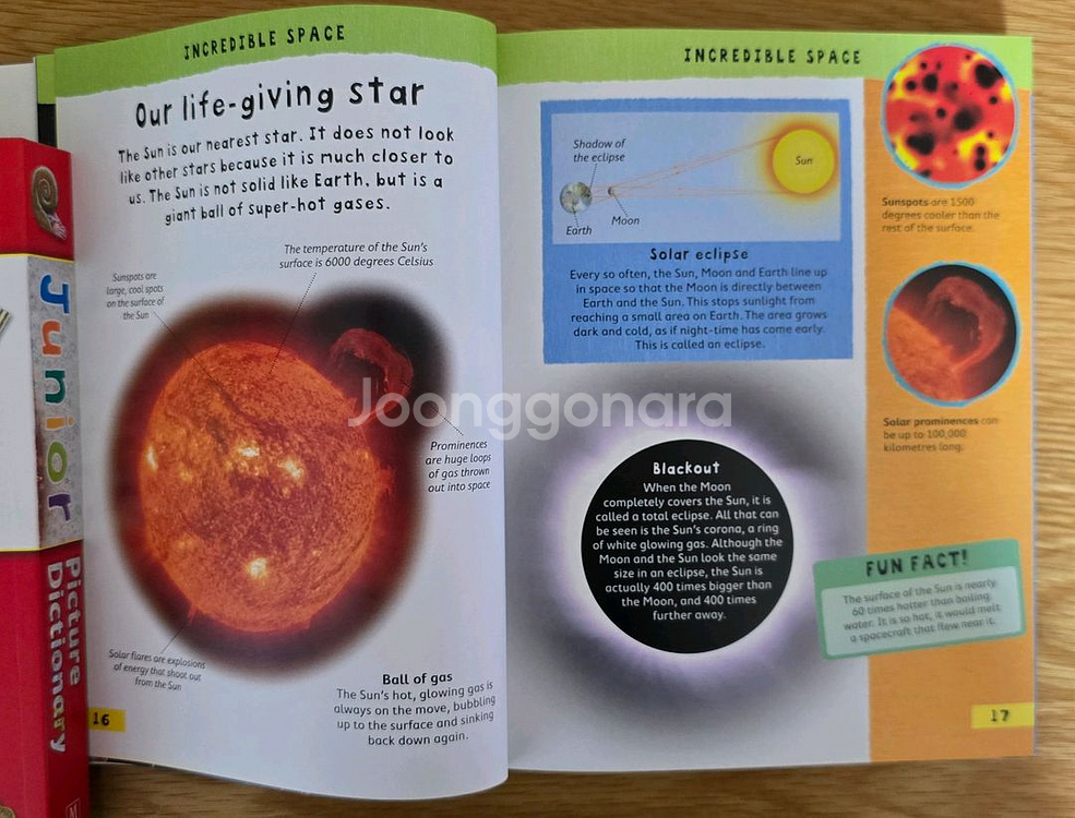 Junior Picture Dictionary--6