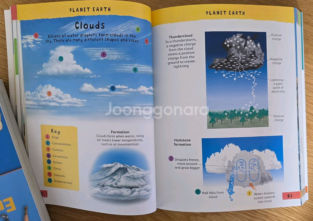 Junior Picture Dictionary--4