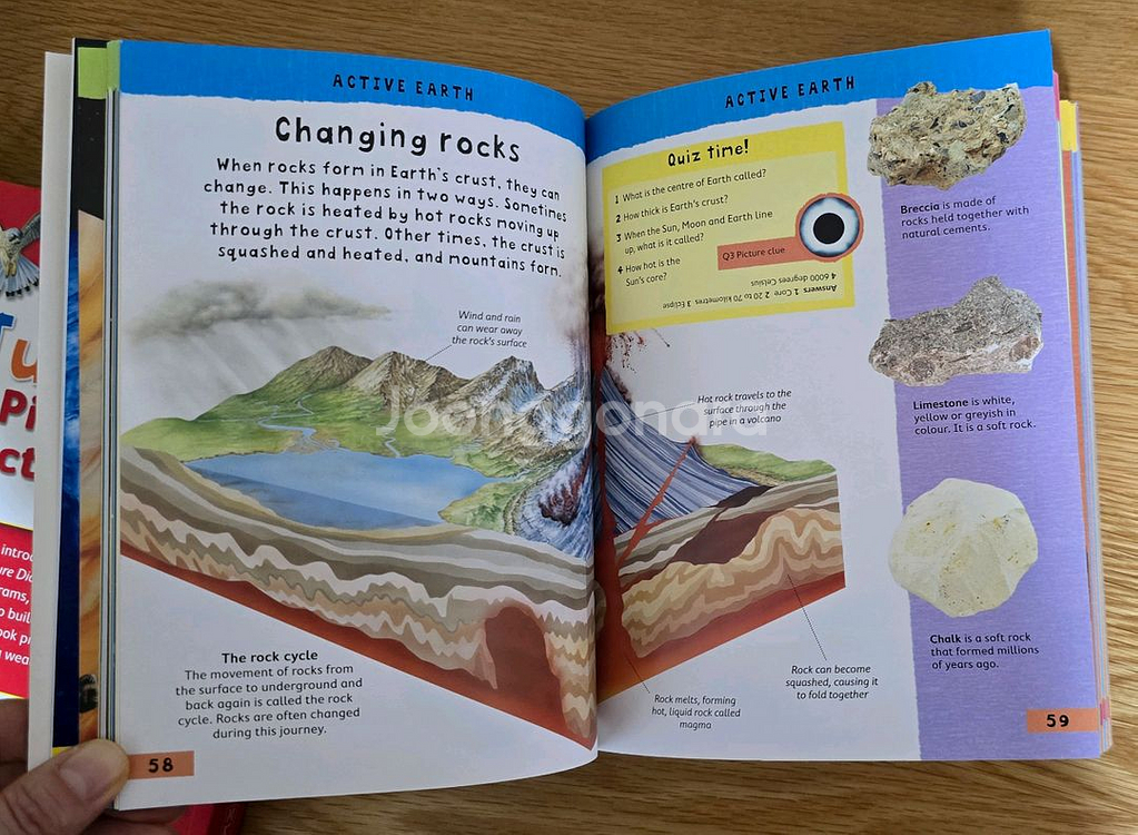 Junior Picture Dictionary--9