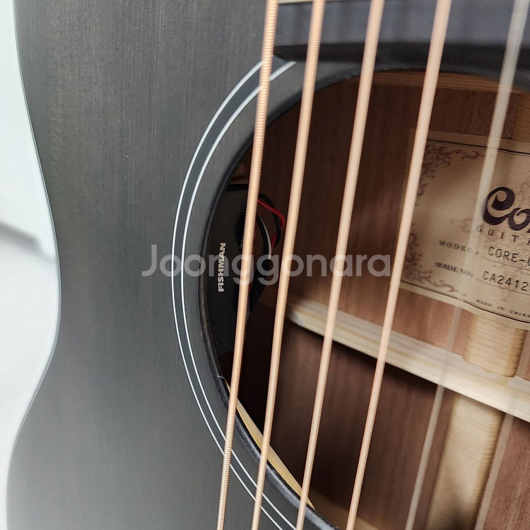 콜트 OM바디 올솔리드 기타 Core-OC Spruce--6