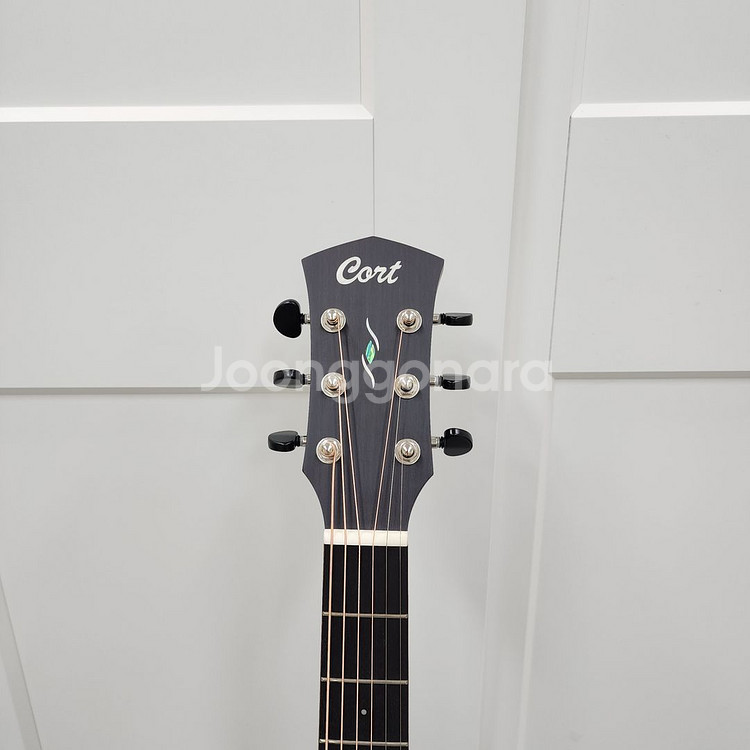 콜트 OM바디 올솔리드 기타 Core-OC Spruce--8