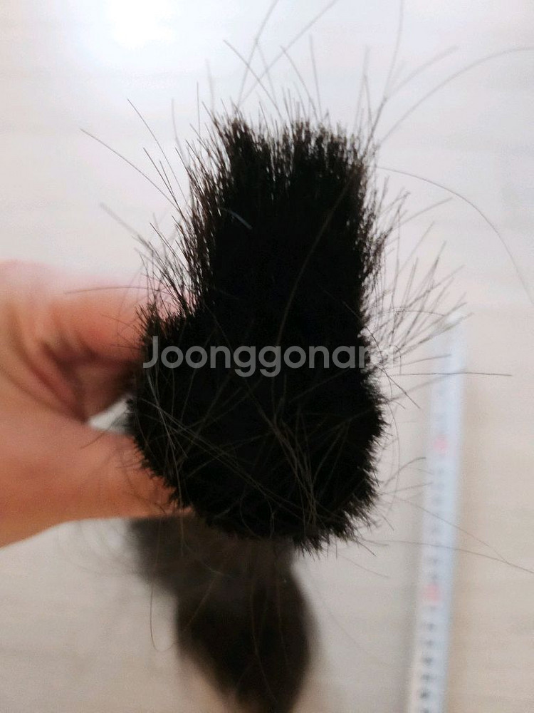 인모 40cm이상 팝니다 (숫많음)--1