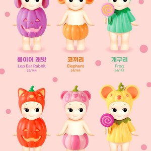 소니엔젤 펌킨패치 정박스
