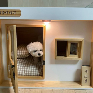 영웅이네 원목하우스 (강아지집) 중형판매합니다.