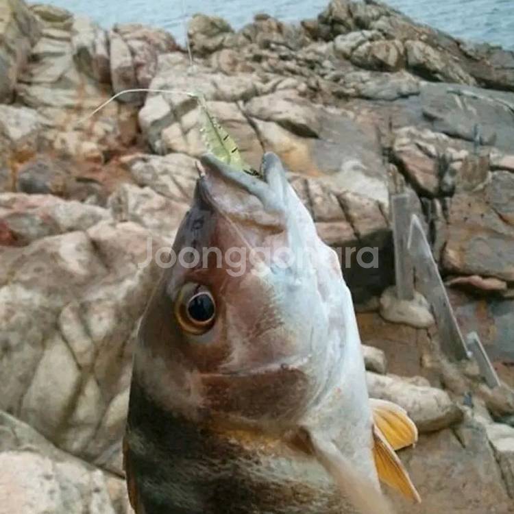 인공새우 미끼--0