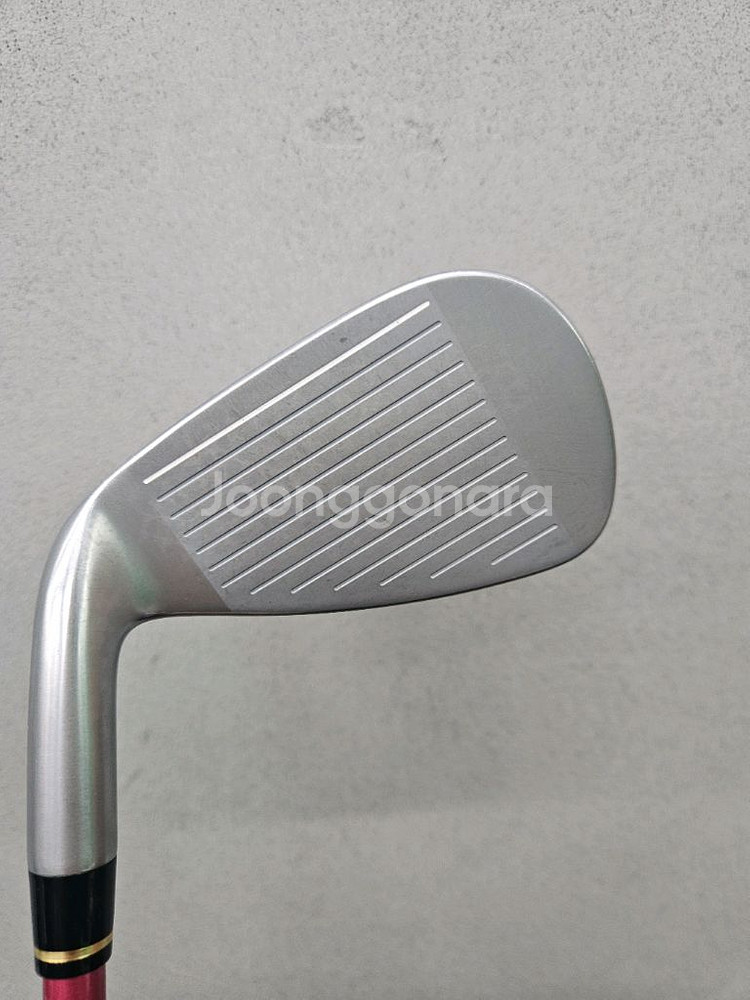 (신품급)혼마 여성용5번 단품아이언 팝니다.--2