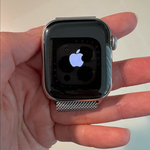 애플워치7 스테인리스 스틸 41mm(GPS+셀룰러)