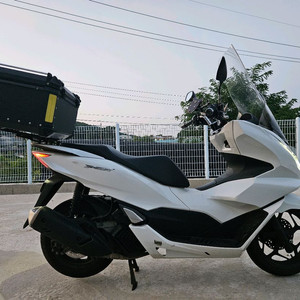 혼다PCX125/21년식/5만키로/185만원/배달세팅