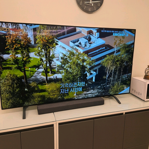 LG OLED 65인치 TV OLED65A1MNA