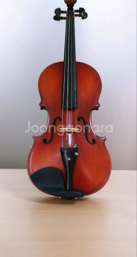 수제 바이올린 4/4 AntonioConcer--0