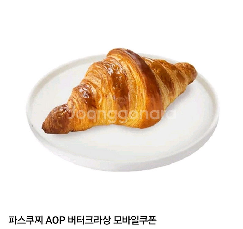 파스쿠찌 AOP버터크라상--0
