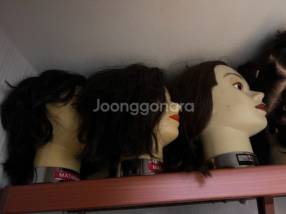 미용사 통가발 (바리깡 연습용 남성커트용)--1