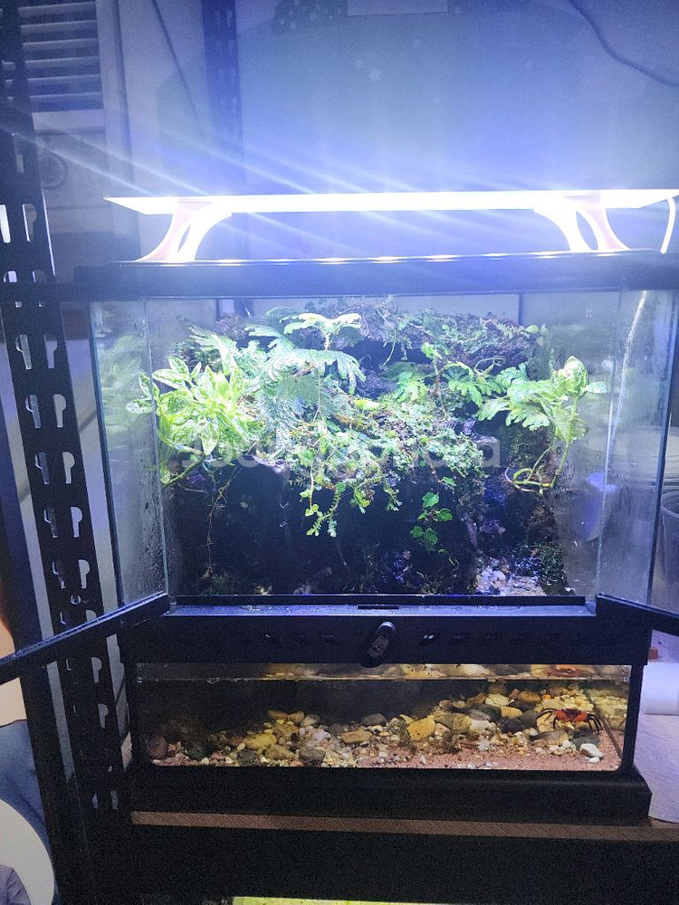 두갈래 계곡물 팔루다리움 사육장--4