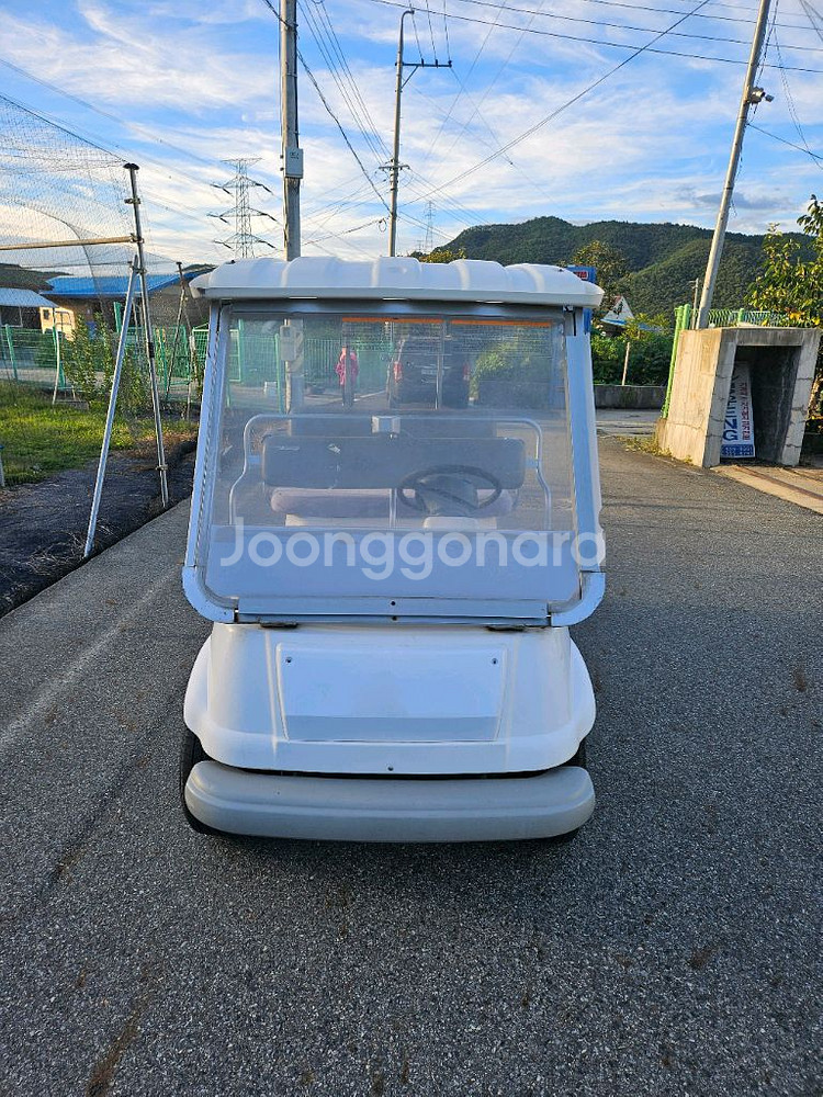 골프카 골프카트--2