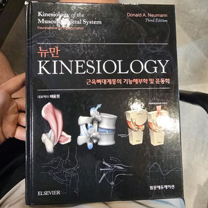 뉴만 키네시올로지