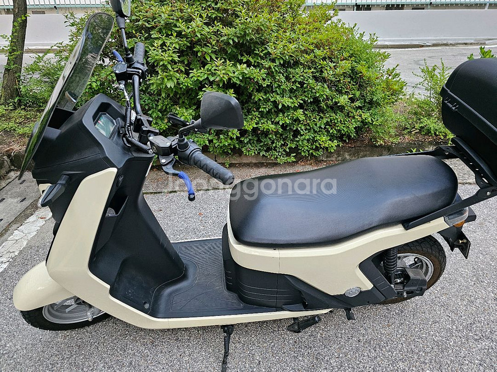 전기스쿠터 뉴웨이s1--1