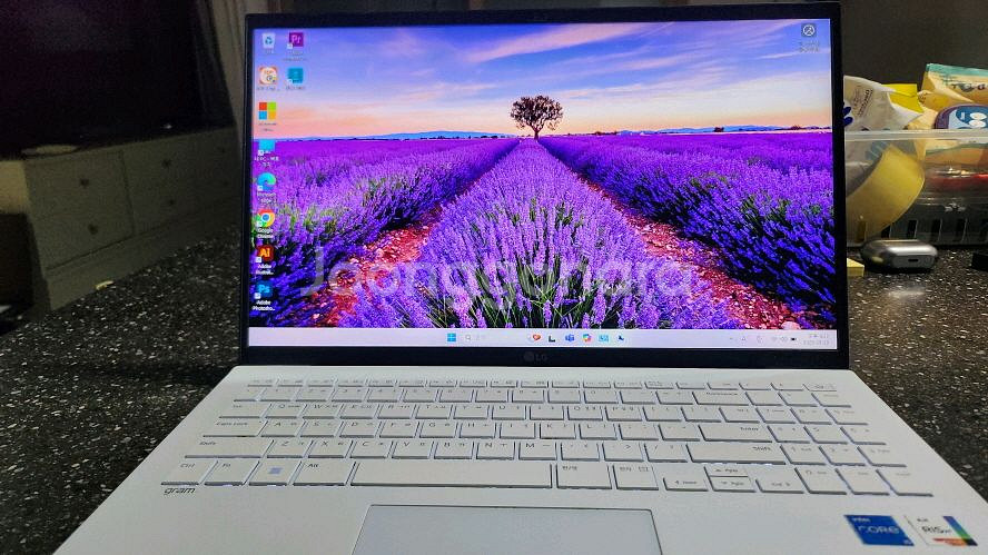 LG 12세대 신형 화이트 그램/16G,1TB--1