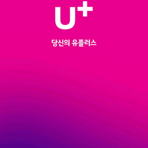유플러스 데이터 LG U+ 데이터 2GB