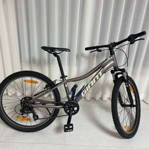 자이언트 xtc jr 어린이 자전거(24인치)