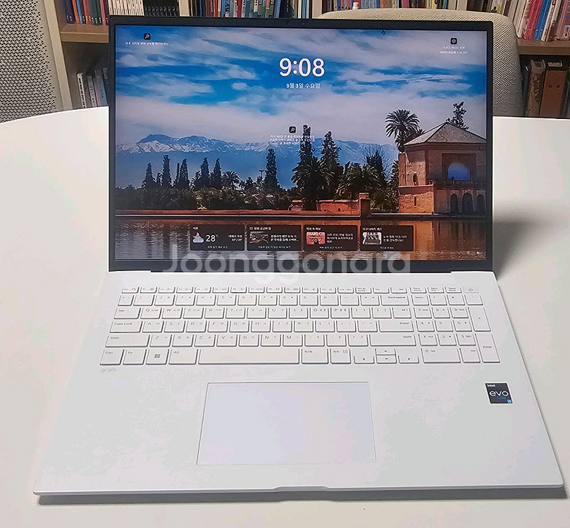 LG 그램17 2023 17Z90R-GA50K--0