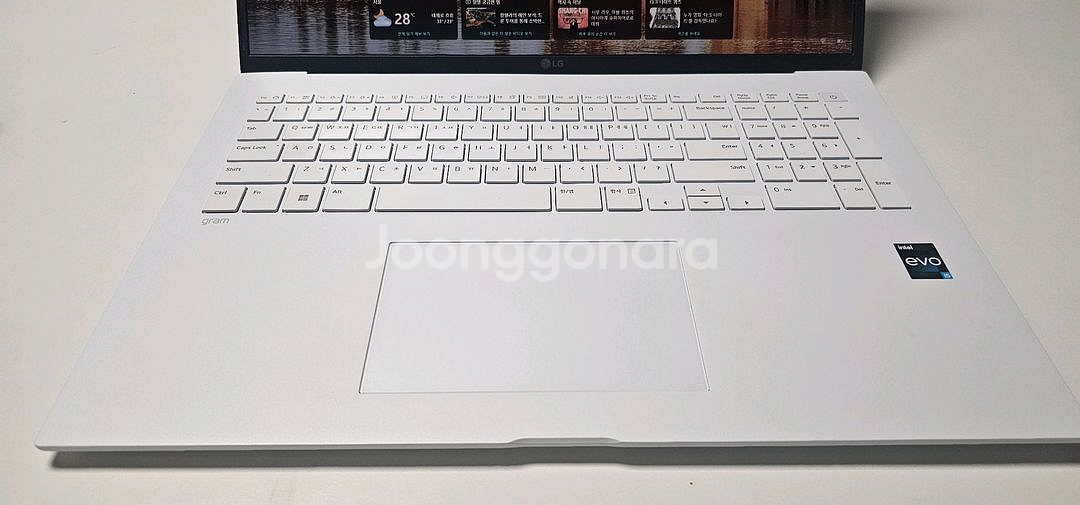 LG 그램17 2023 17Z90R-GA50K--7