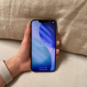 아이폰 13 프로 실버 256(미국 직구, 무음)