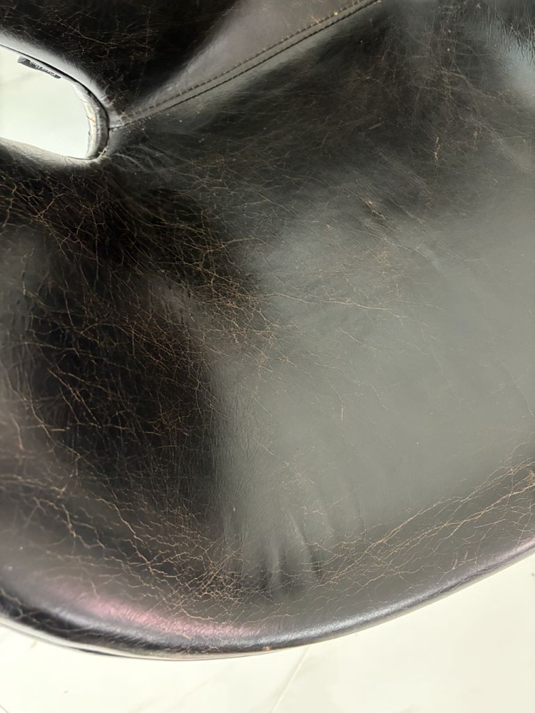 까사알렉시스 _ 아이언 스완체어 이미지