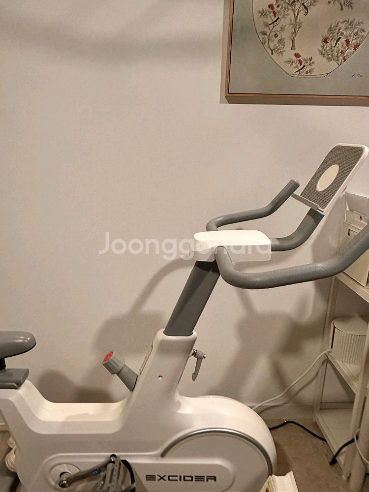 엑사이더 실내자전거 스피닝 (경남김해)--0