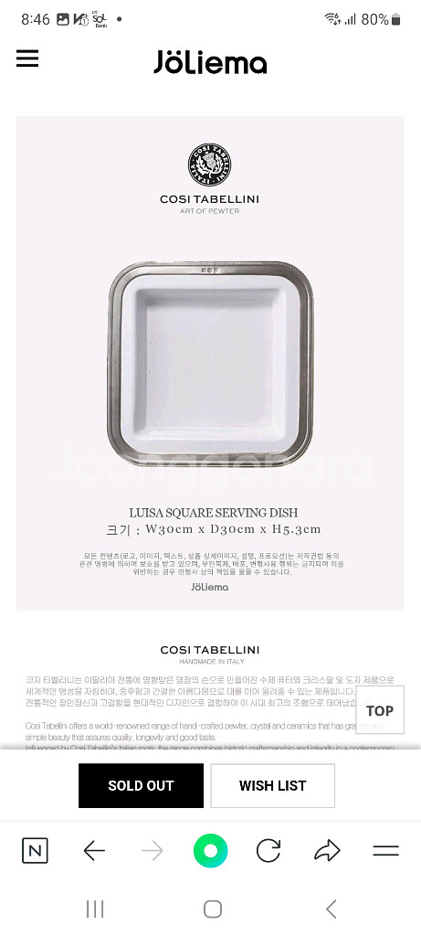 코지타 벨리니 사각 서빙볼--5