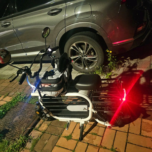 이디뚜뚜 23년식 듀얼모터 이미지