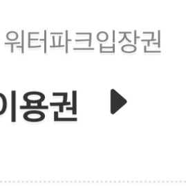 하이원 워터월드 워터파크 이용권