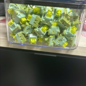 오테뮤 라임 스위치 100개