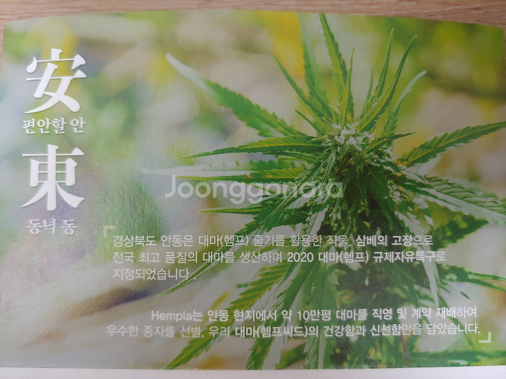 헴플라 생 안동 대마종자유 캡슐 세트 60캡슐 오메가--2