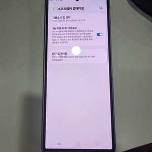 z폴드6 256g