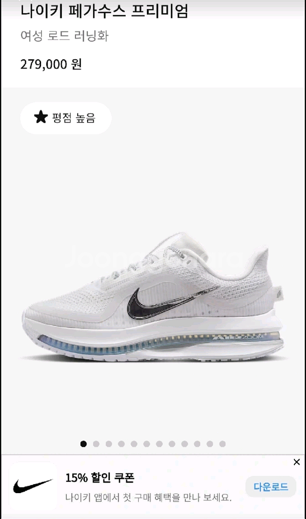 나이키 페가수스 프리미엄 255--0
