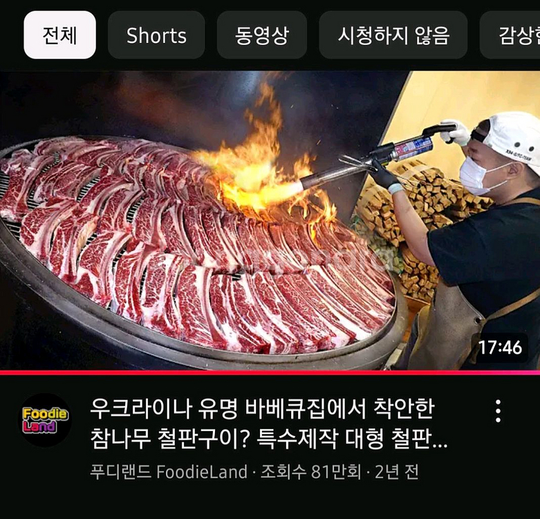 대형 회전 그릴 / 바베큐 그릴--2