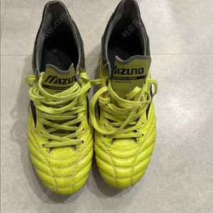 모렐리아네오 260 일본산