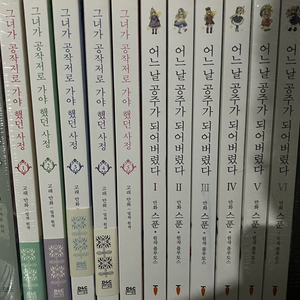 만화책/웹툰단행본 (어공주, 그공사, 내세남남 등)