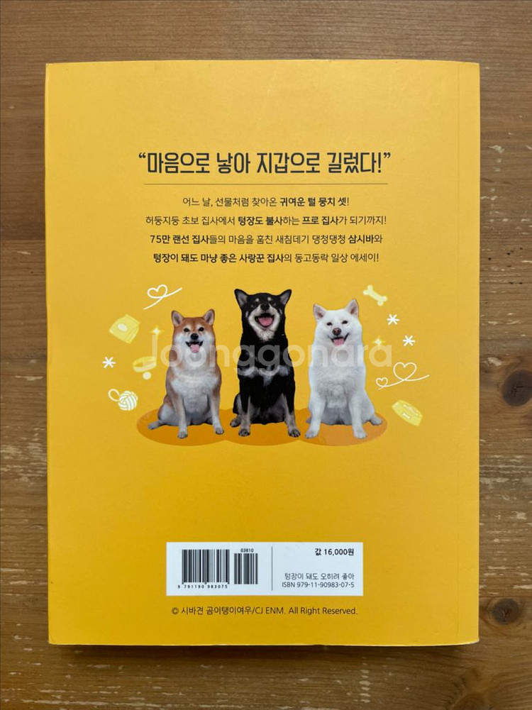 텅장이 돼도 오히려 좋아 - 쏭이님--1