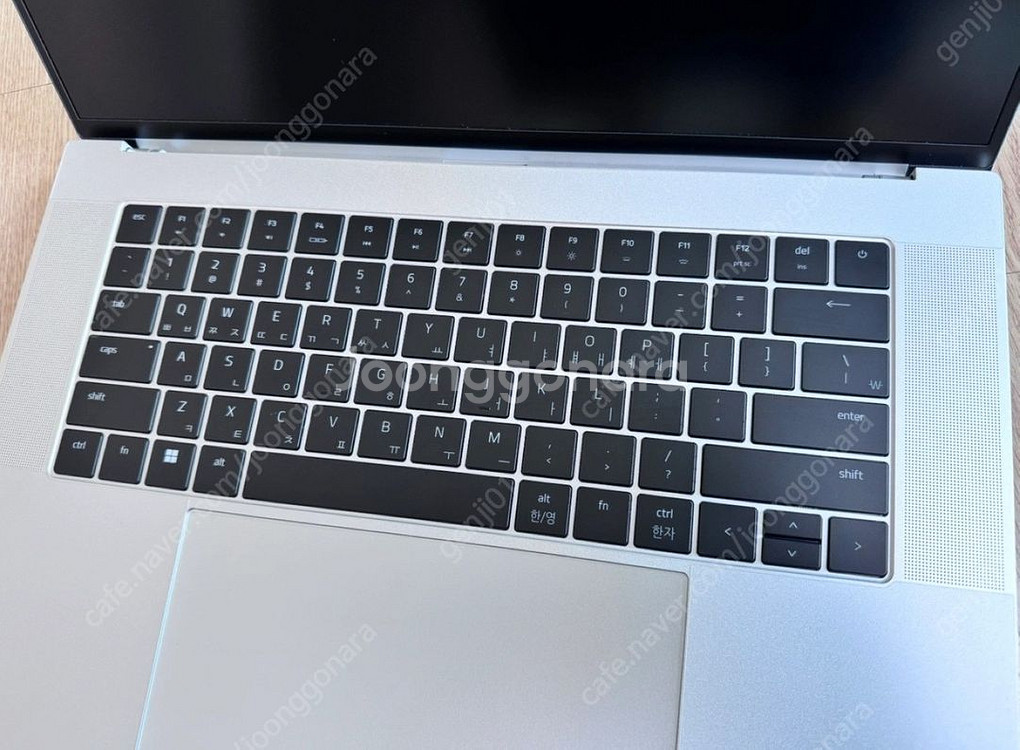 레이저블레이드16 머큐리 14세대 (RTX4080)--2