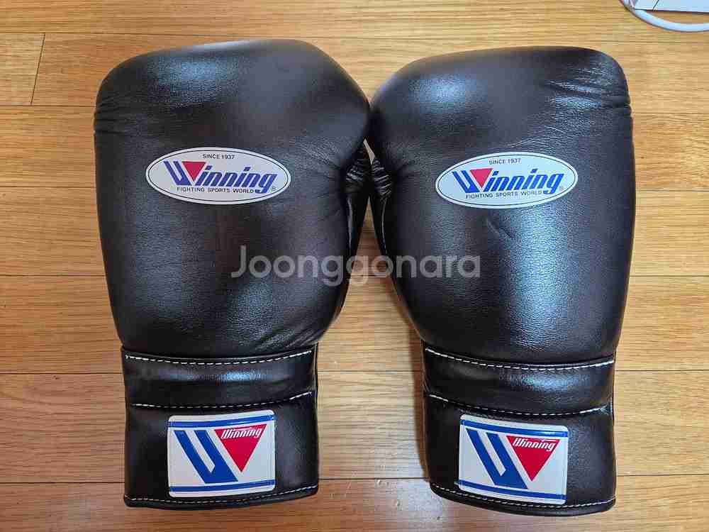 위닝 16온스 블랙 레이스--0