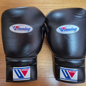 위닝 16온스 블랙 레이스