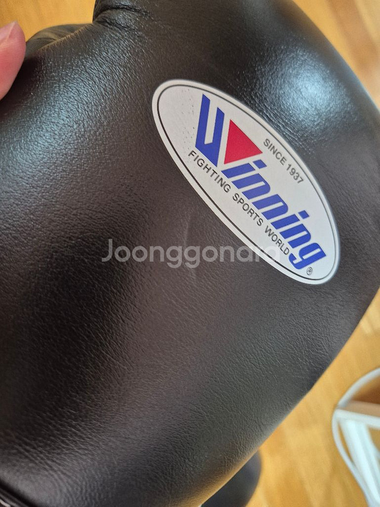 위닝 16온스 블랙 레이스--4