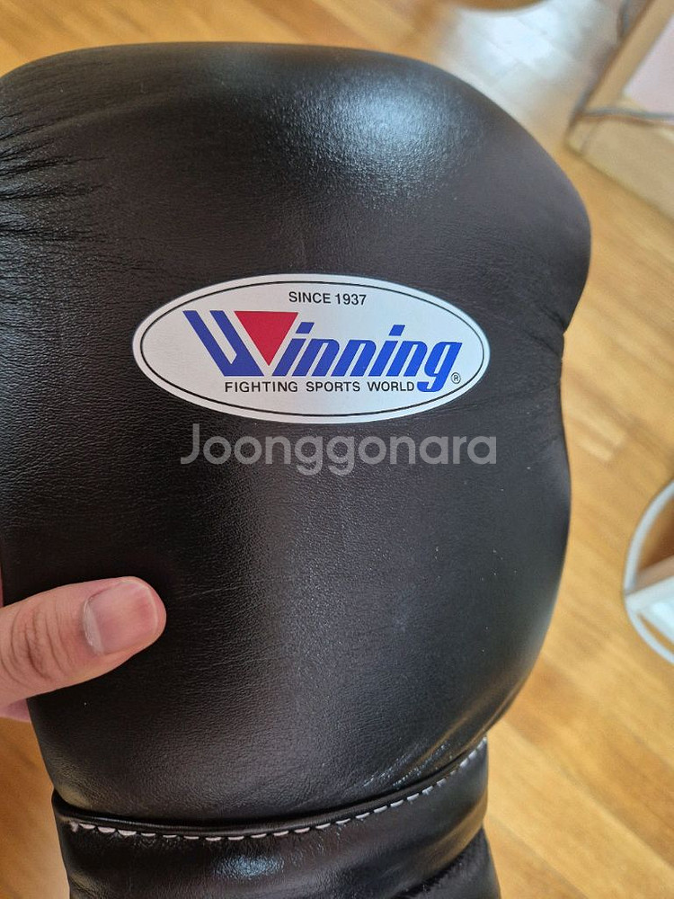 위닝 16온스 블랙 레이스--5