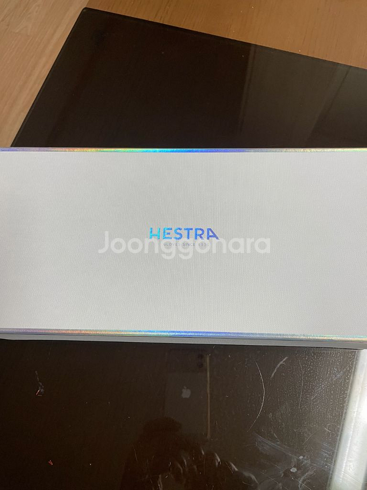 헤스트라 스키보드 장갑--0