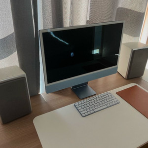 다인오디오 Xeo 10 화이트 민트급